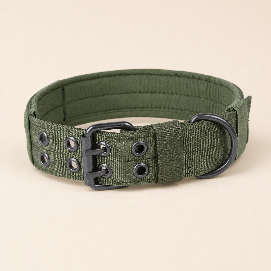 Taktisches Hundehalsband von Urban Prairie – Produktdetailansicht