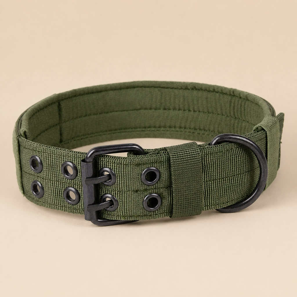 Taktisches Nylon-Hundehalsband in den verfügbaren Farben
