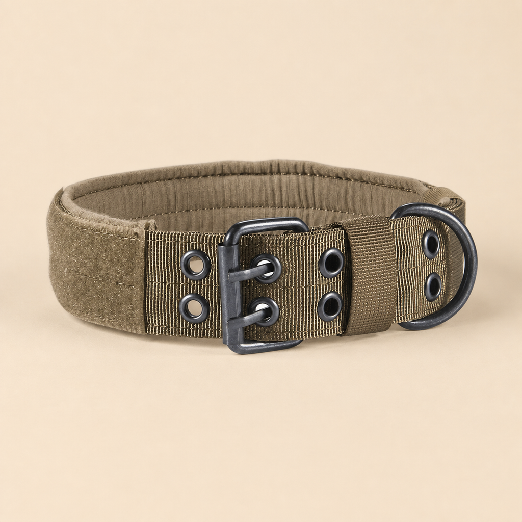 Gepolstertes Nylon-Hundehalsband mit Klettfläche für Namensschild