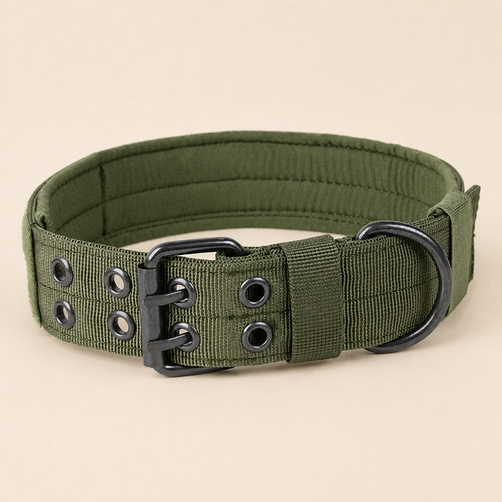 Taktisches Hundehalsband – Detail von Metallschnalle und D-Ring