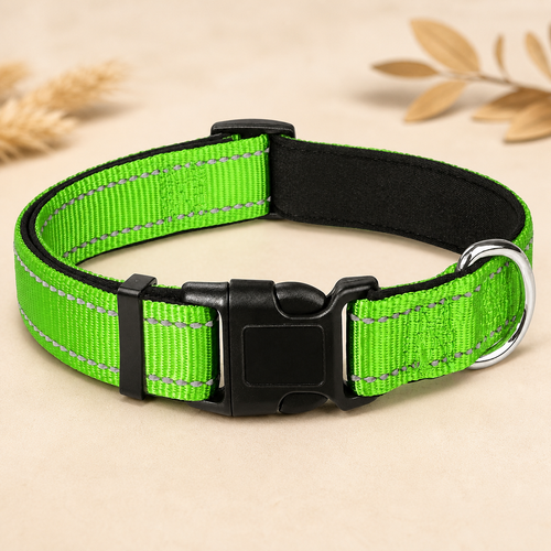 Reflektierendes Nylon-Hundehalsband – Detail von Gurtband und Schnalle